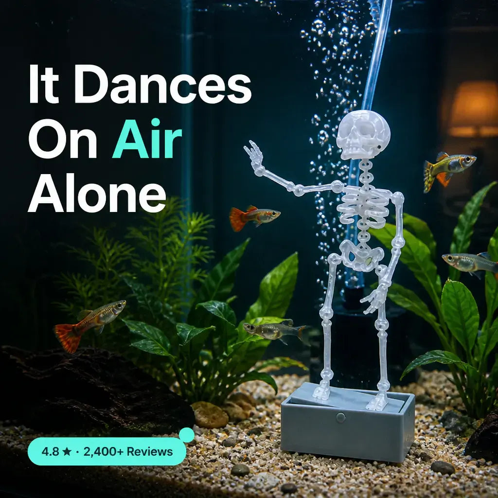 The Dancing Skeleton - Aquarium Bubbler(My fish finally have a roommate 💀)