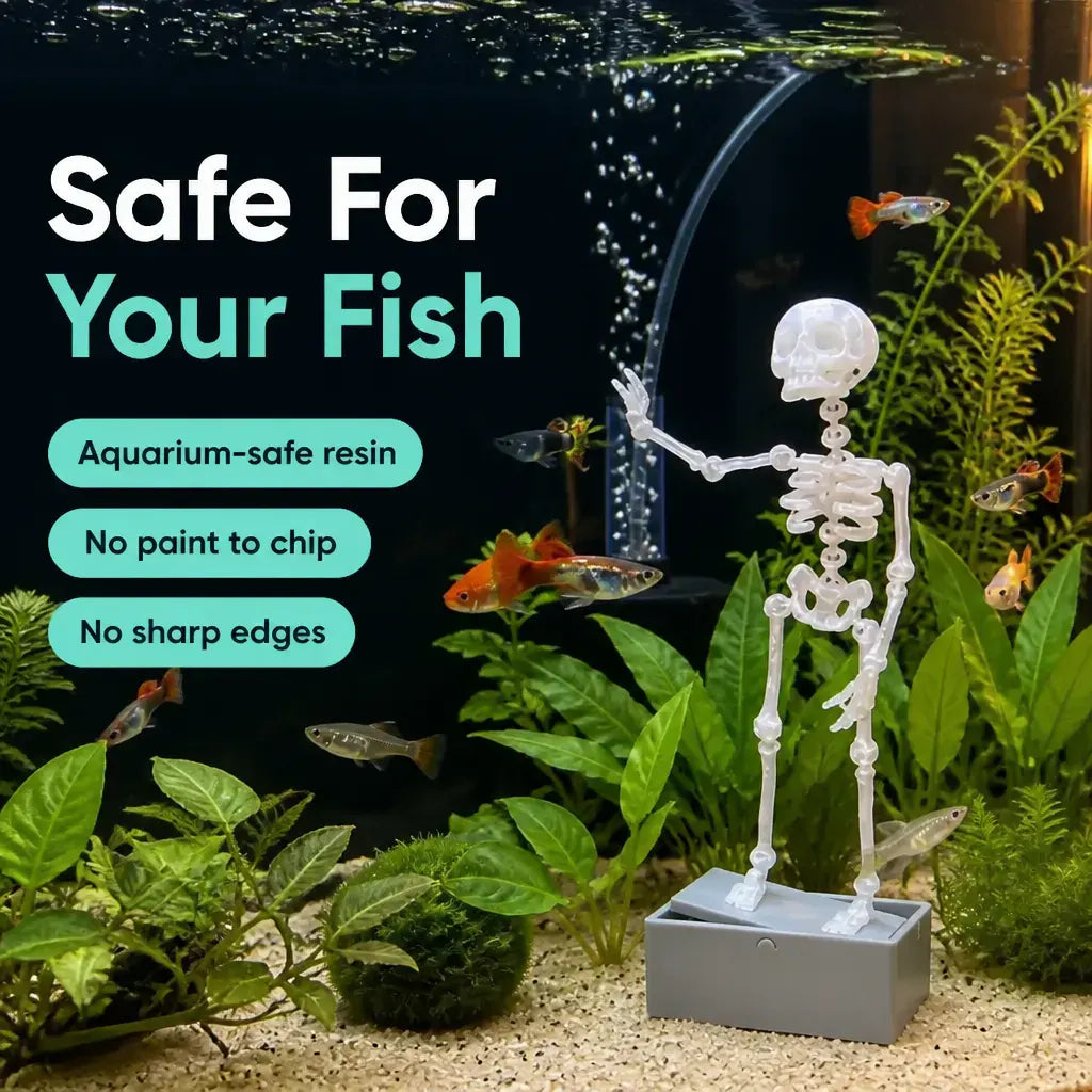 The Dancing Skeleton - Aquarium Bubbler(My fish finally have a roommate 💀)