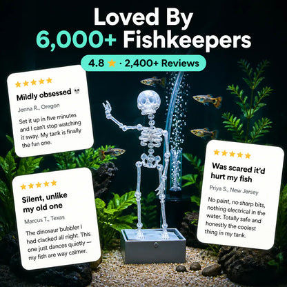 The Dancing Skeleton - Aquarium Bubbler(My fish finally have a roommate 💀)